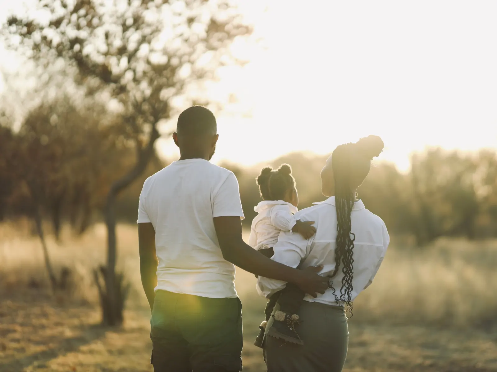 A family of three walking together through a field at golden hour, seen from behind.